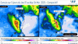 Cumuls de pluie attendus sur 5 jours- Modèle ICON EU et ECMWF Source: Meteologix.com – Illustration: Kitempu